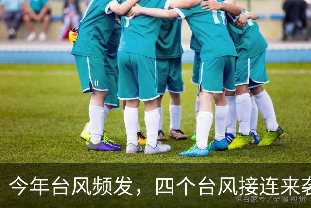 今年台风频发，四个台风接连来袭带来的影响