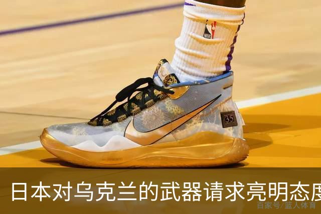 日本对乌克兰的武器请求亮明态度：坚决拒绝